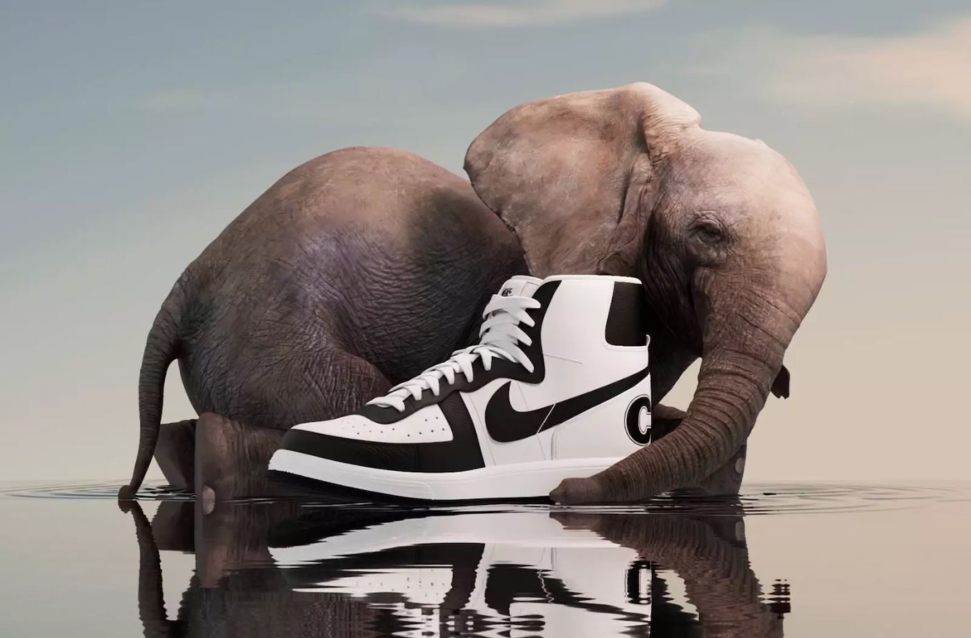 comme des garcons nike outburst